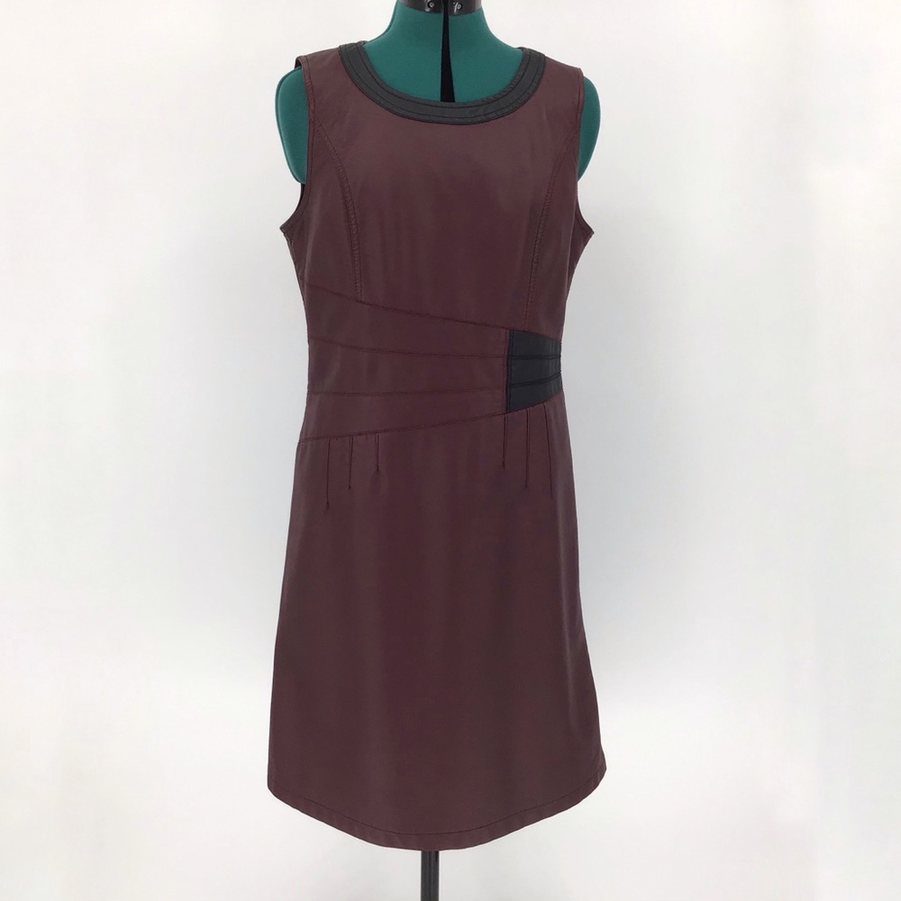 Ness Burgundy Vegan Leather Lined Jumper Dress